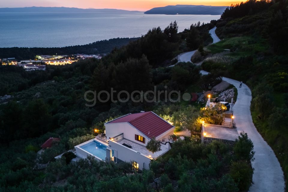 Luxury Villa Olive