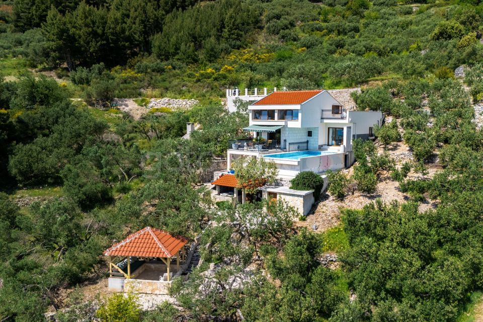 Luxury Villa Olive