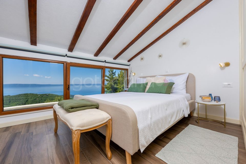 Luxury Villa Olive