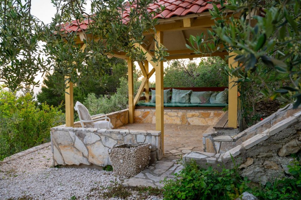 Luxury Villa Olive