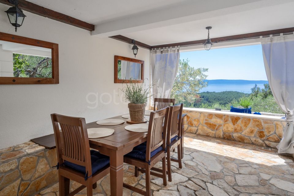 Luxury Villa Olive