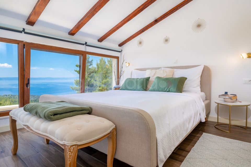 Luxury Villa Olive
