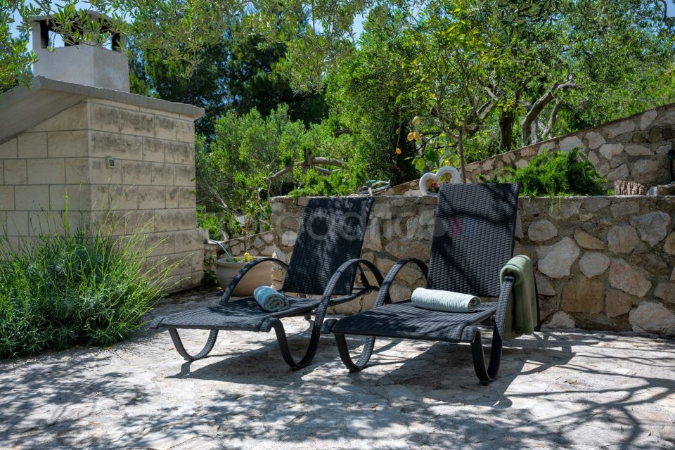 Luxury Villa Olive