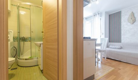 Apartman u centru Silva II