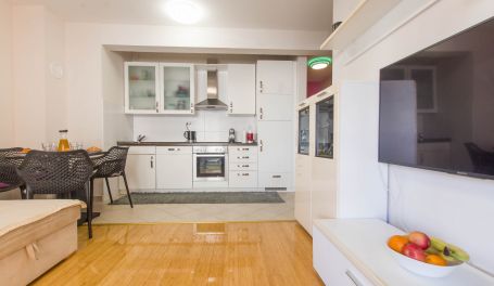 Barbin apartman u centru