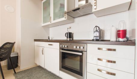 Barbin apartman u centru