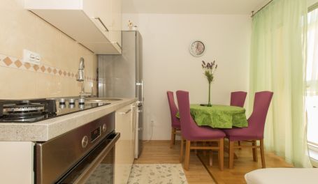 Apartman u centru Silva II 