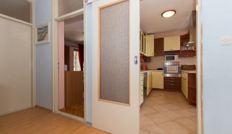 Apartman u centru Anikka 