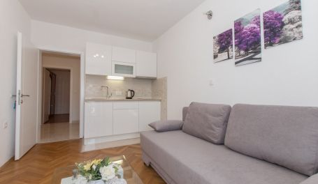 Apartman Rose VIII 