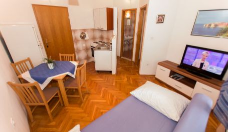 Apartman u centru Tonka III 