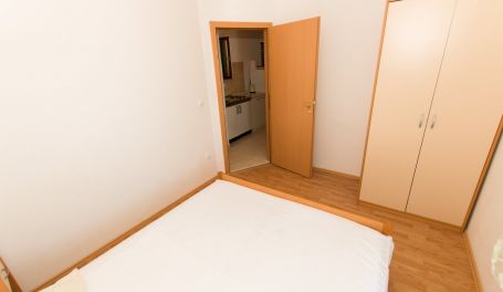 Apartman u centru Tonka V 