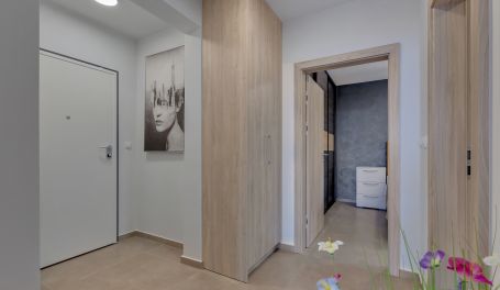 Luksuzni apartman Luki