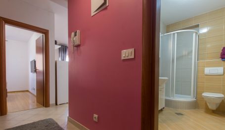 Barbin apartman u centru